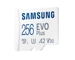 Samsung 256GB EVO Plus Micro SDXC with SD Adapter