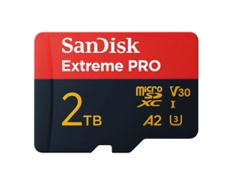  SanDisk
