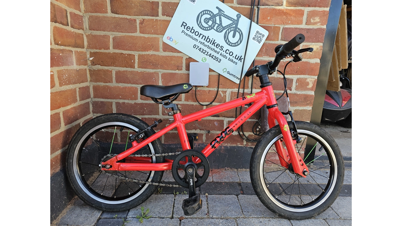 Frog 48 Premium Kids Bi..