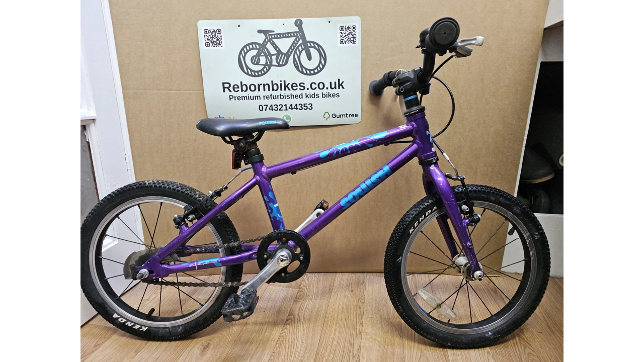 Frog 16 Premium Kids Bi..