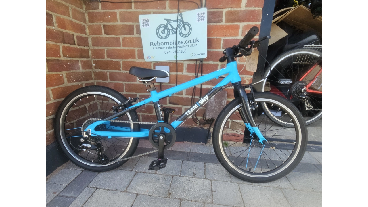 Frog 52 Premium Kids Bi..