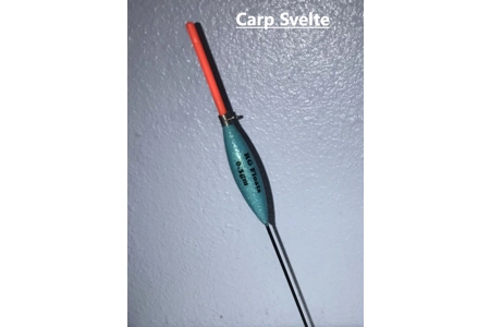 Carp Svelte Carp Svelte
