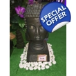 Buddha Sakyamuni Facial..