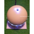 Replacement - 15cm Glos..
