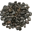 Size: 1-2cm Black Polis..