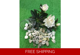 Size: 2-3cm Natural Jade Green Pebble Stones