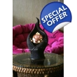 Emil Rose Gold Sphere Rattan Effect Tabletop Water Feature - Bronze