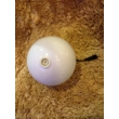 Replacement - 11cm Illu..