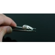 Scarab Signet Ring with 13 Point Bolts
