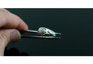 Scarab Signet Ring with 13 Point Bolts