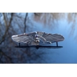 Spun Silver Wings