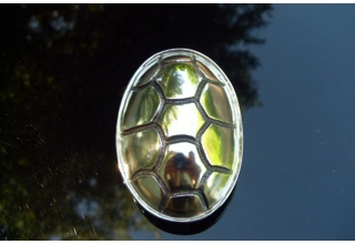 Terrapin Shell Belt Buckle - Silver