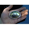 Terrapin Shell Pendant