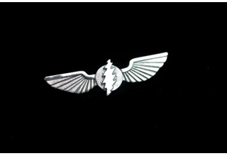 13 Point Bolt Wings