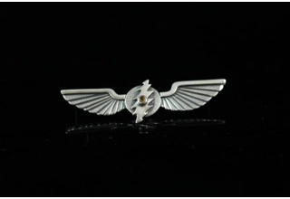 13 Point Bolt Wings - 1 Gem