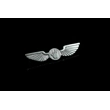 Jerry Print Wings