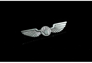 Jerry Print Wings