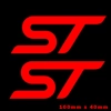 ST Stickers/Decal for Fiesta, Focus,etc In Brushed Chrome Vinyl 100mm x 40mm x 2