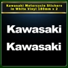 Kawasaki Motorcycle Bike Stickers