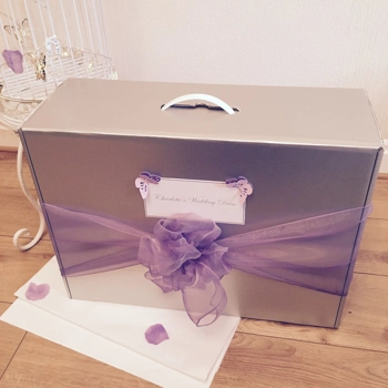Wedding Dress Travel Box