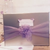 Wedding Dress Travel Box