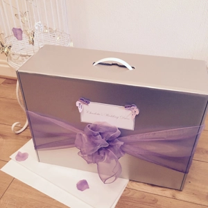 Bows Butterflies Wedding Dress Travel Box Hand Luggage.