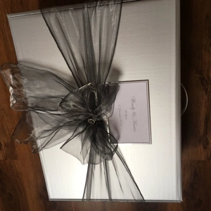 Wedding Dress Travel Box