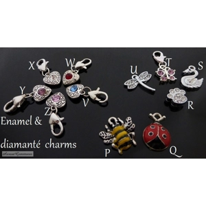 Premium Rice Writing Pendant - Necklace or Lariat