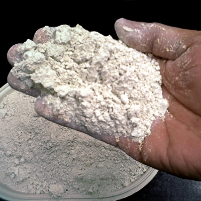 Diatomaceous Earth