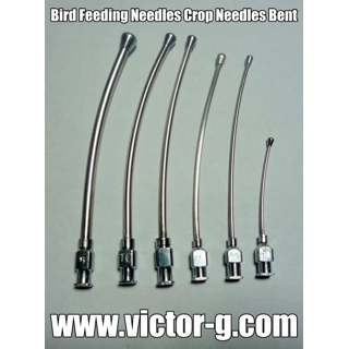 Animal Feeding Needles ..