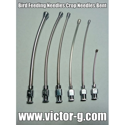 Animal Feeding Needles Curved Animal Feeding Needles Curved