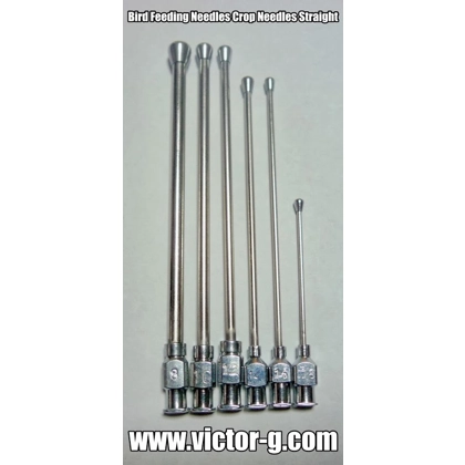 Animal Feeding Needles Straight Animal Feeding Needles Straight
