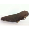 Brooks B5N Vintage Leather Bicycle Saddle 2