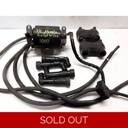 1978-79 Honda GL1000 Goldwing Ignition Coils and Wires FL101-12V 30500-431-000