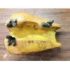 1980-81 Yamaha YZ50 YZ60 Fuel Tank 3R0-24110-00