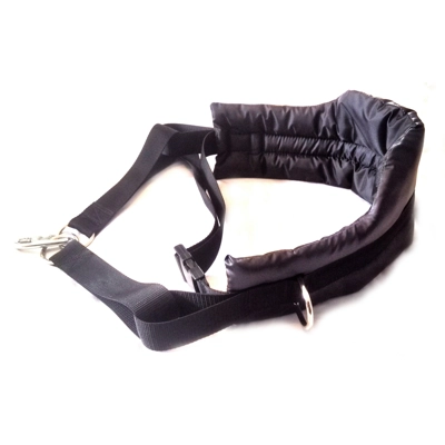 MM DOGGEAR, Multi Dog ..