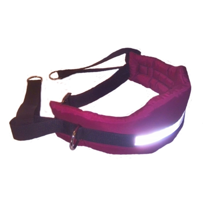 MM DOGGEAR,  Multi Dog Walking Belt