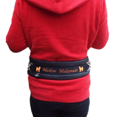 MM DOGGEAR, Removable Bungee Dog Walking Belt + lead link , £18-00 FREE UK P&P