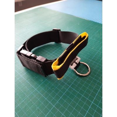 Safety Collar