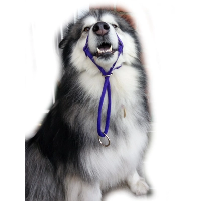 MM DOGGEAR, Head Halter