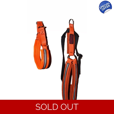 MM Doggear, H - Harness..