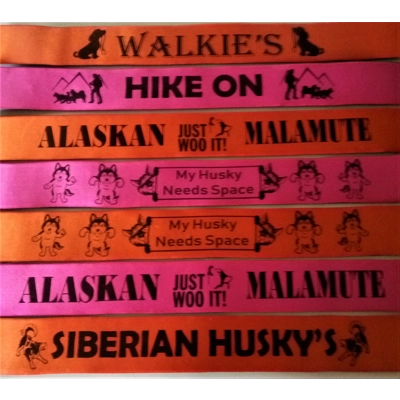 Patch for dog walking belt