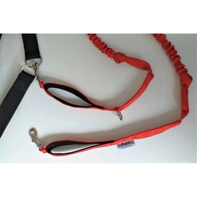 Dog Walking Belt and Bungee Lead Set