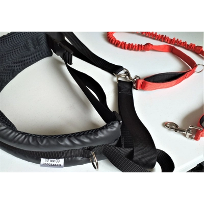 Dog Walking Belt and Bungee Lead Set