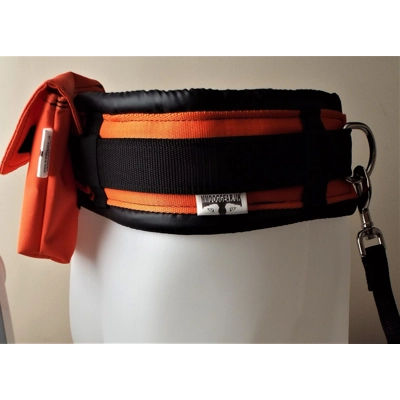 Mmdoggear Premium Dog Walking Belt Set