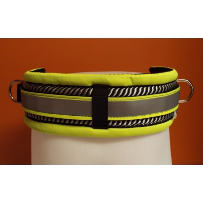 Mmdoggear Premium Dog Walking Belt Set