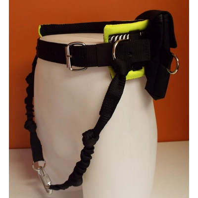 Mmdoggear Premium Dog Walking Belt Set