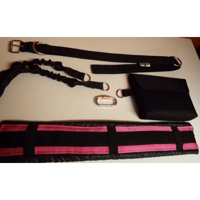 Mmdoggear Premium Dog Walking Belt Set