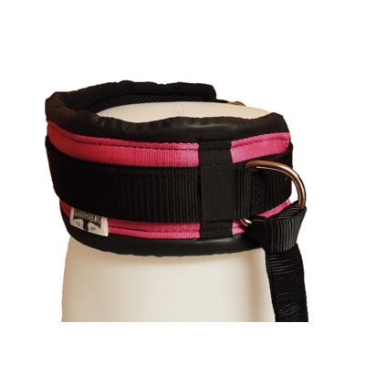 Mmdoggear Premium Dog Walking Belt Set