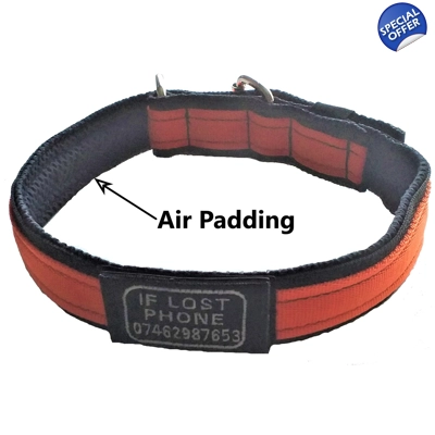 mmdoggear, Dog Collars